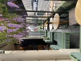 Fleur MORIN - SAS CLEF ARCHITECTURE